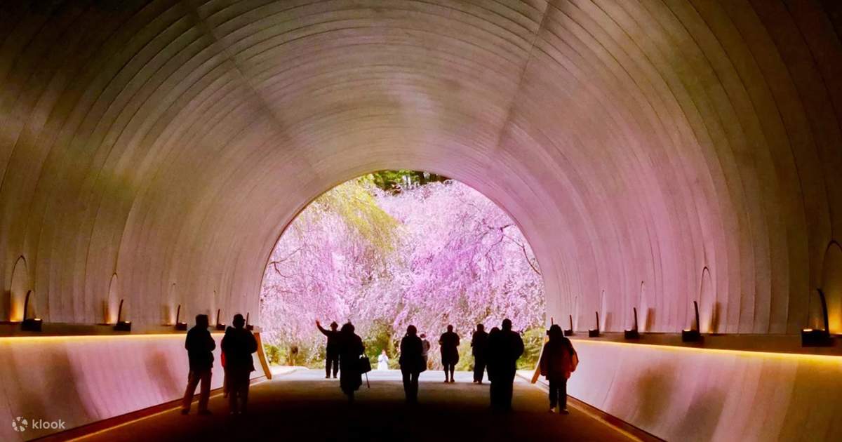 MIHOMUSEUM旧竹林院比叡山日吉